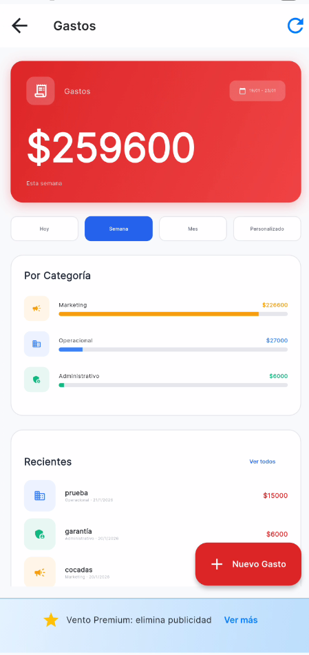 Control de Gastos